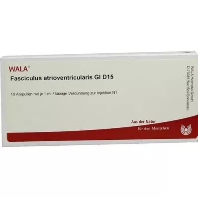 FASCICULUS atrioventricularis GL D 15 ampullia, 10X1 ml