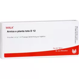 ARNICA E Planta tota D 12 ampullia, 10X1 ml