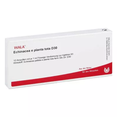 ECHINACEA E planta tota D 30 ampullia, 10X1 ml