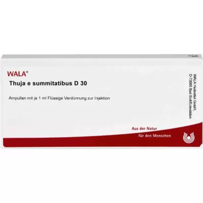 THUJA E SUMMITATIBUS D 30 ampullia, 10X1 ml