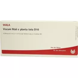 VISCUM MALI e planta tota D 10 ampullia, 10X1 ml