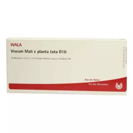 VISCUM MALI e planta tota D 10 ampullia, 10X1 ml
