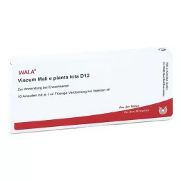 VISCUM MALI e planta tota D 12 ampullia, 10X1 ml