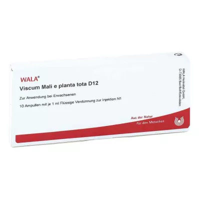 VISCUM MALI e planta tota D 12 ampullia, 10X1 ml VISCUM MALI e planta tota D 12 ampullia, 10X1 ml