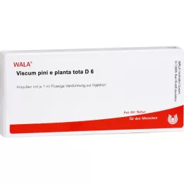 VISCUM PINI e planta tota D 6 ampullia, 10X1 ml