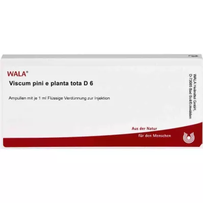 VISCUM PINI e planta tota D 6 ampullia, 10X1 ml