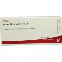 VISCUM PINI e planta tota D 8 Ampullia, 10X1 ml