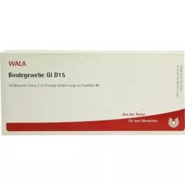 BINDEGEWEBE GL D 15 Ampullit, 10X1 ml