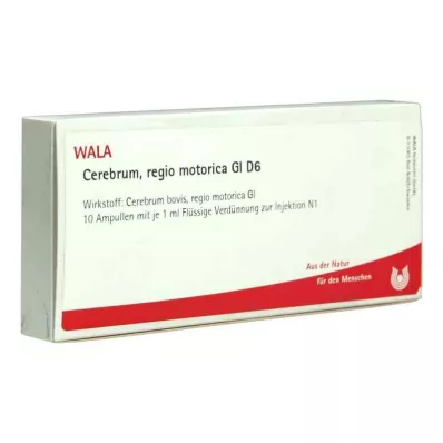 CEREBRUM REGIO motorica GL D 6 ampullia, 10X1 ml CEREBRUM REGIO motorica GL D 6 ampullia, 10X1 ml