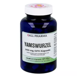 YAMSWURZEL 500 mg GPH Kapselit, 120 kpl