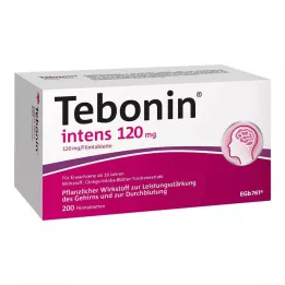 TEBONIN intensiiviset 120 mg kalvopäällysteiset tabletit, 200 kpl