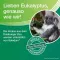 SOLEDUM Voiteeneste, 20 ml