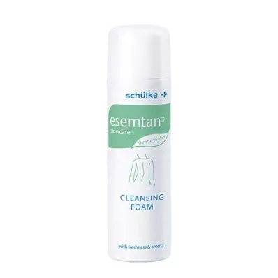 ESEMTAN Puhdistus- ja hoitovaahto, 500 ml ESEMTAN Puhdistus- ja hoitovaahto, 500 ml