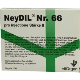 NEYDIL Nro 66 pro injectione St.2 Ampullit, 5X2 ml
