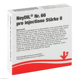 NEYDIL Nro 66 pro injectione St.2 Ampullit, 5X2 ml