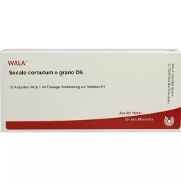 SECALE CORNUTUM E grano D 6 ampullia, 10X1 ml