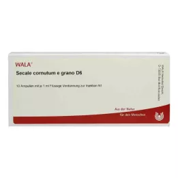 SECALE CORNUTUM E grano D 6 ampullia, 10X1 ml