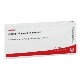 SOLIDAGO VIRGAUREA ex herba D 6 ampullia, 10X1 ml