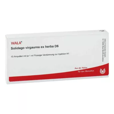 SOLIDAGO VIRGAUREA ex herba D 6 ampullia, 10X1 ml