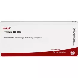 TRACHEA GL D 6 ampullia, 10X1 ml