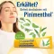 PINIMENTHOL Kylmävoide Eucal./Pine./Menth., 100 g