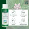 ALLGÄUER LATSCHENK. Arnica extra vahva linimentti, 250 ml