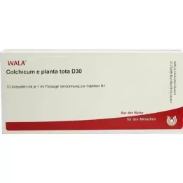 COLCHICUM E planta tota D 30 ampullia, 10X1 ml