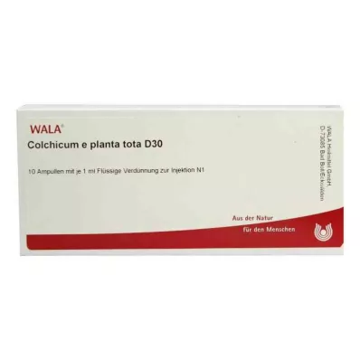COLCHICUM E planta tota D 30 ampullia, 10X1 ml COLCHICUM E planta tota D 30 ampullia, 10X1 ml