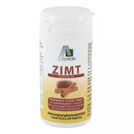 ZIMT KAPSELN 500 mg+C+E-vitamiini, 60 kpl