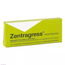 ZENTRAGRESS Nestmann-tabletit, 20 kpl