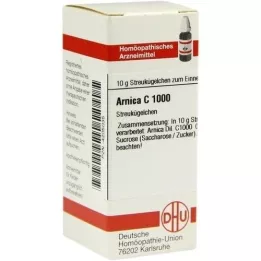 ARNICA C 1000 palleroa, 10 g