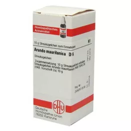 ARUNDO mauritanica D 6 palloa, 10 g