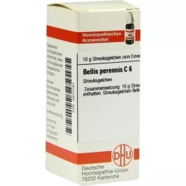 BELLIS PERENNIS C 6 pallot, 10 g