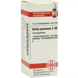 BELLIS PERENNIS C 30 palloa, 10 g