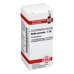 BELLIS PERENNIS C 30 palloa, 10 g