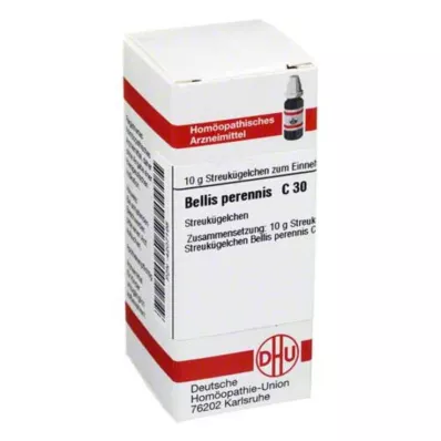 BELLIS PERENNIS C 30 palloa, 10 g