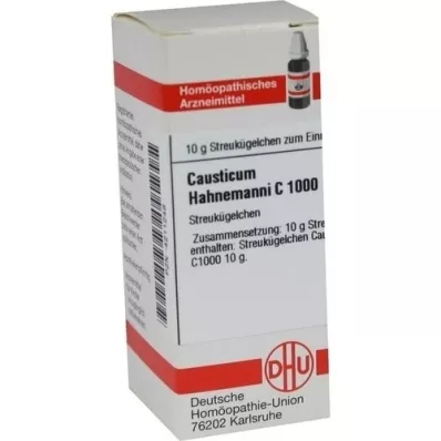 CAUSTICUM HAHNEMANNI C 1000 palleroa, 10 g