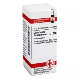 CAUSTICUM HAHNEMANNI C 1000 palleroa, 10 g