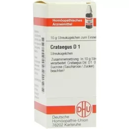 CRATAEGUS D 1 pallo, 10 g