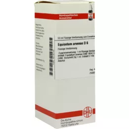 EQUISETUM ARVENSE D 6 Laimennus, 50 ml