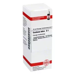 GENTIANA LUTEA D 1 Laimennus, 20 ml