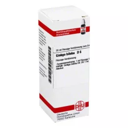 GINKGO BILOBA D 6 Laimennus, 20 ml