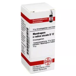 MANDRAGORA E radice siccata D 12 palloa, 10 g