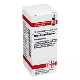 RHUS TOXICODENDRON C 12 palloa, 10 g