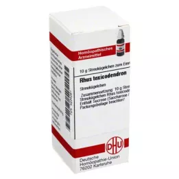 RHUS TOXICODENDRON C 1000 palleroa, 10 g