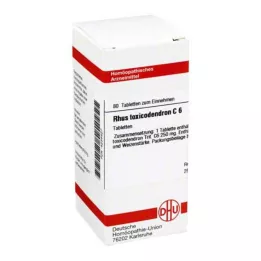 RHUS TOXICODENDRON C 6 tablettia, 80 kpl