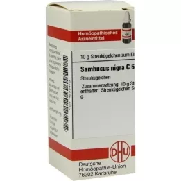 SAMBUCUS NIGRA C 6 pallot, 10 g