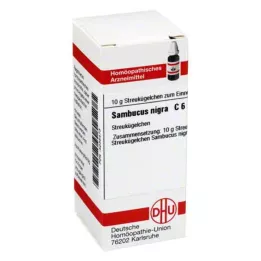 SAMBUCUS NIGRA C 6 pallot, 10 g