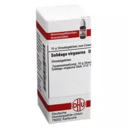 SOLIDAGO VIRGAUREA D 12 palloa, 10 g