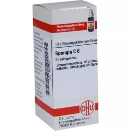 SPONGIA C 6 pallot, 10 g